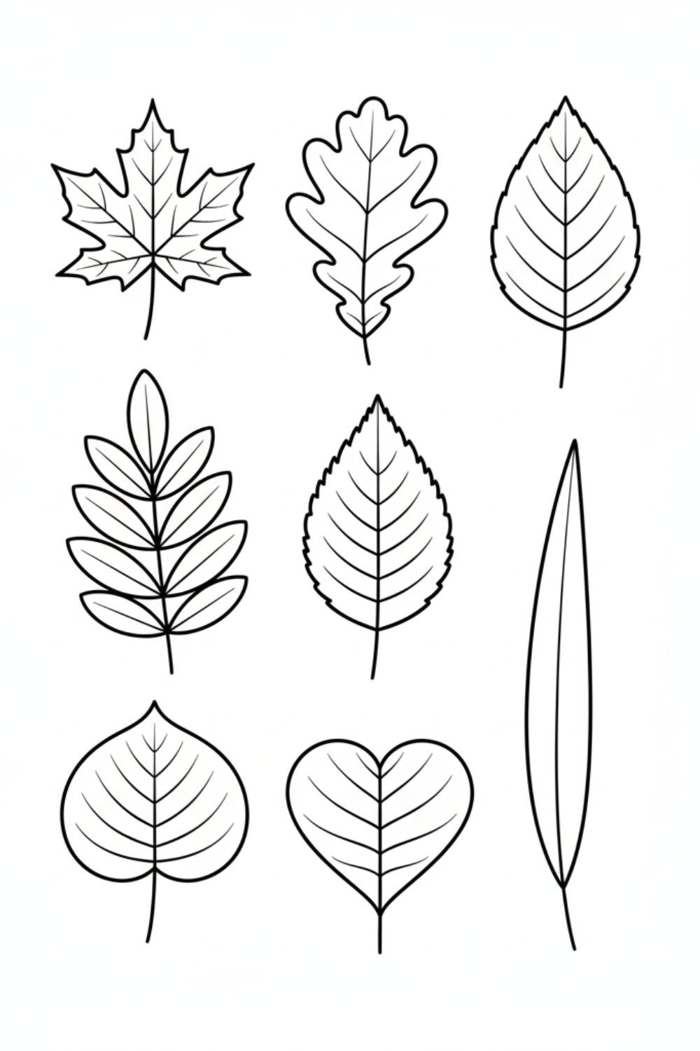 Fall leaf templates printable for autumn crafts and coloring