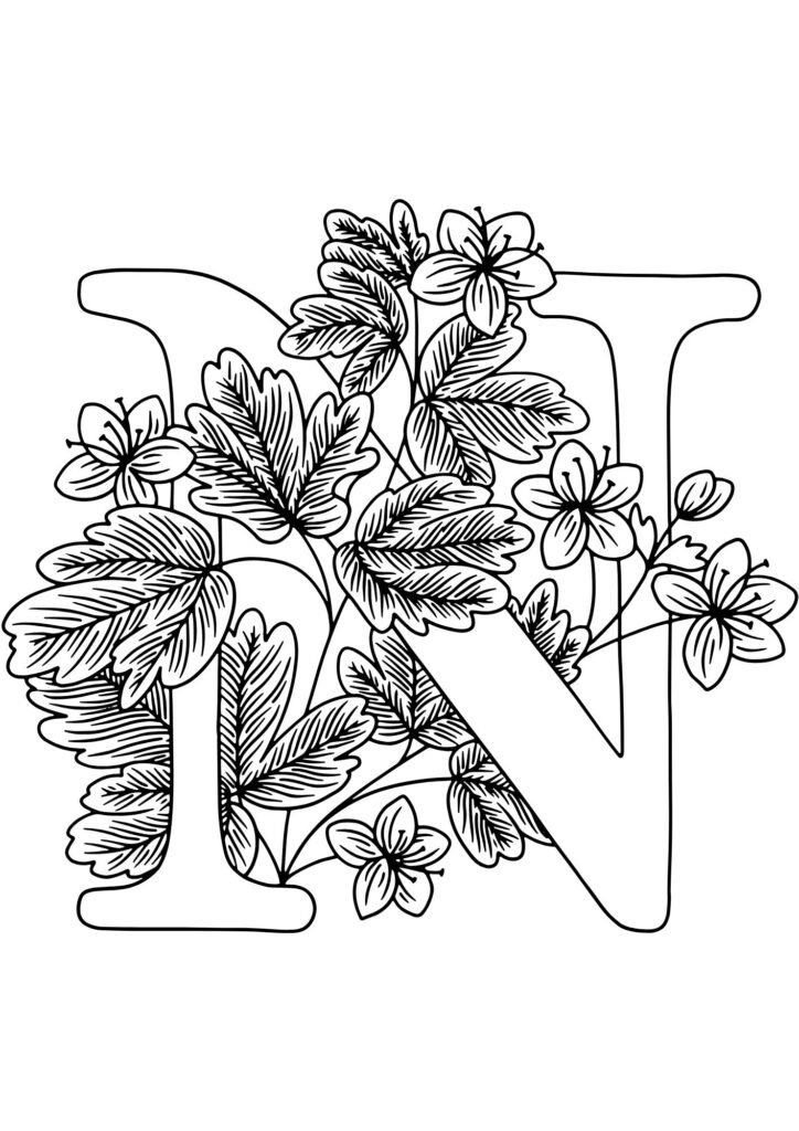N alphabet coloring pages