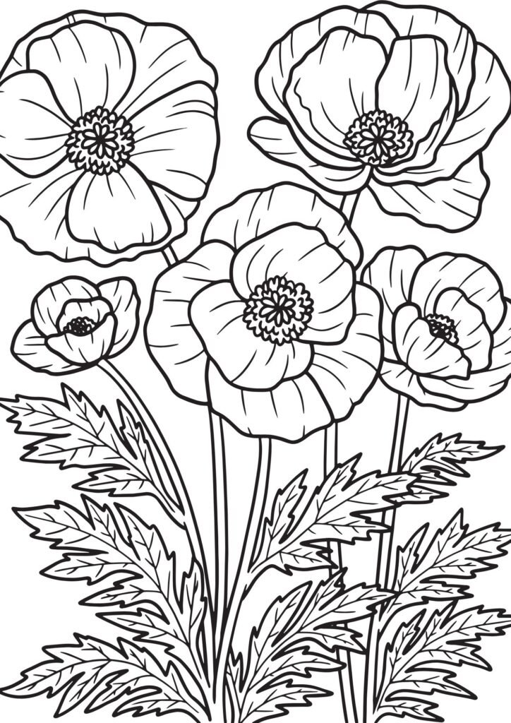 adult coloring pages with flowers