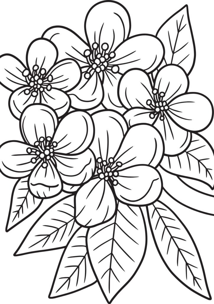 adult flower coloring pages