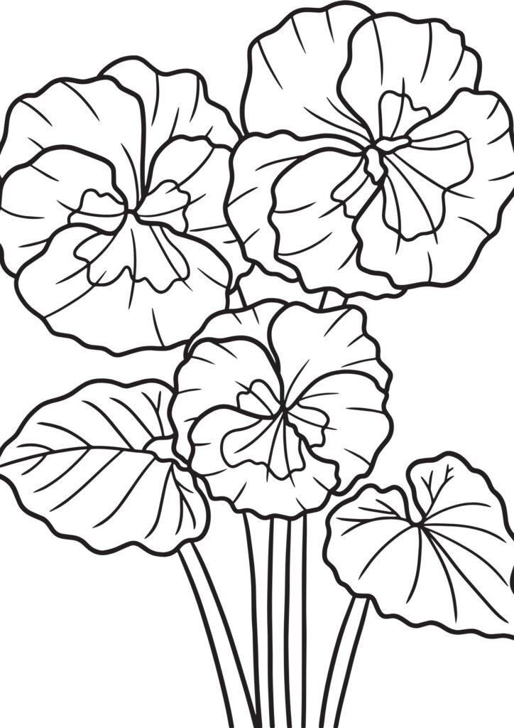 bouquet of flowers drawing