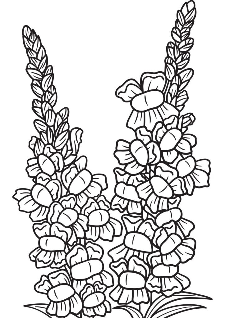 cactus coloring page