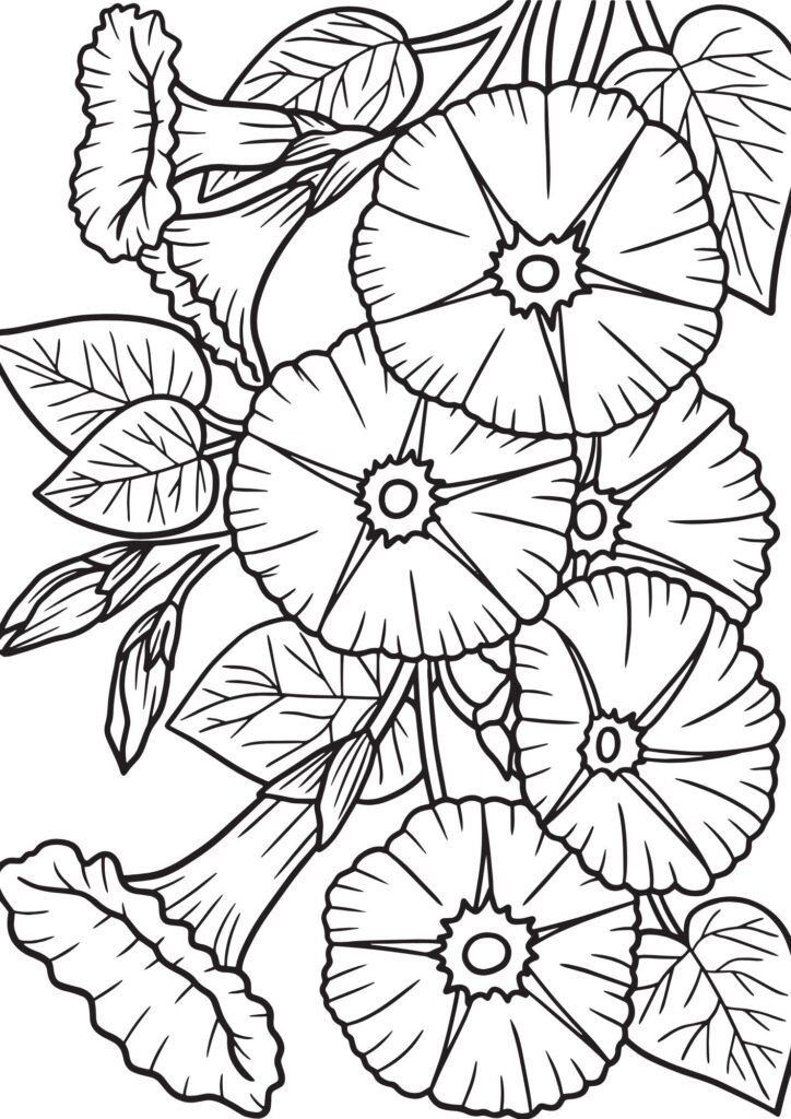 coloring pages flowers
