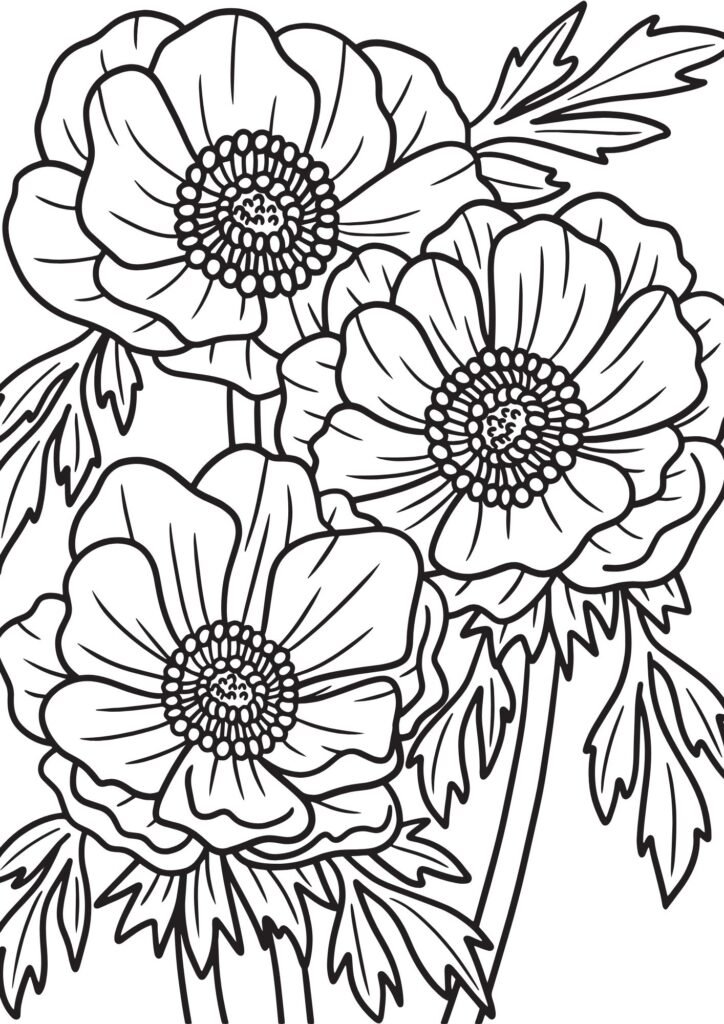 coloring pages for adults flowers