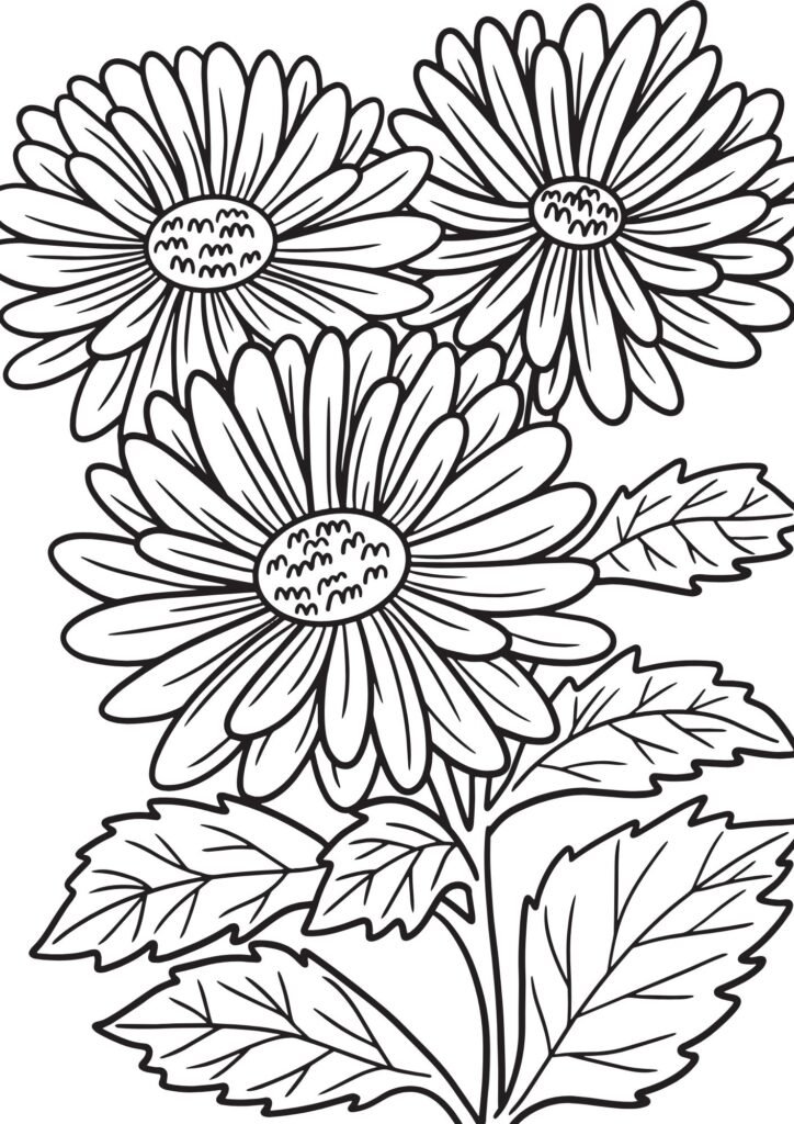 coloring sheets flowers
