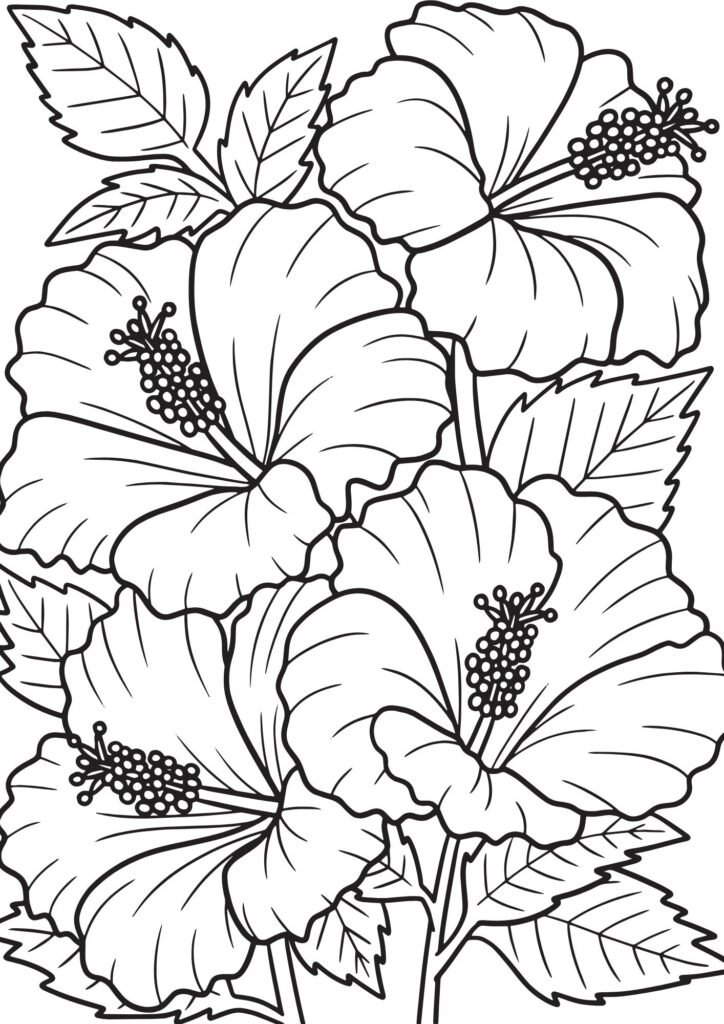 colouring pictures of flowers to print
