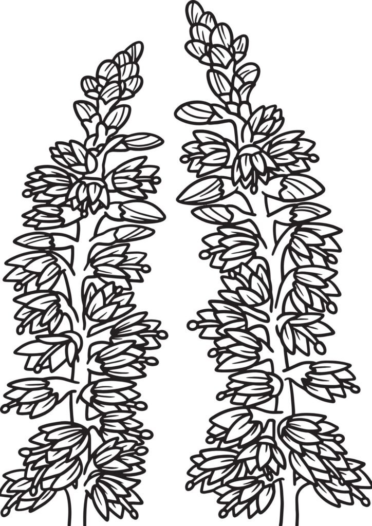 colouring pictures of flowers to print
