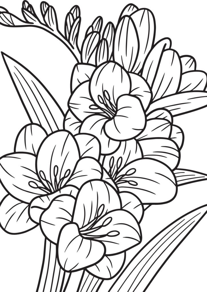 floral coloring page
