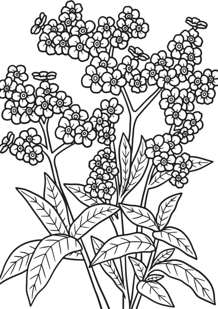 floral coloring pages