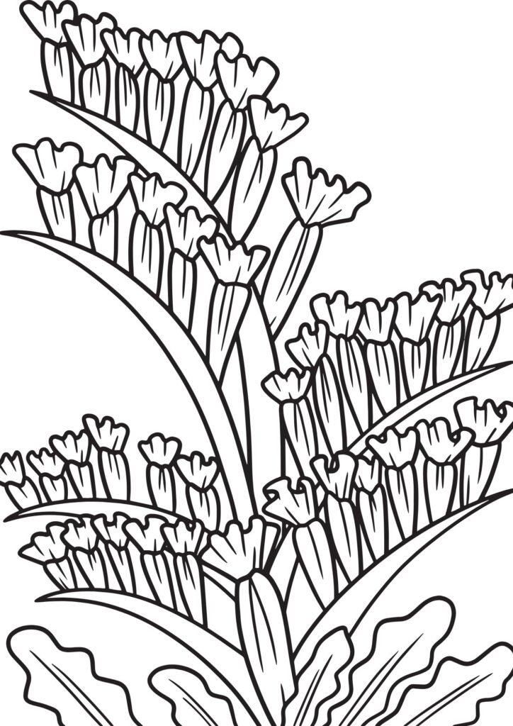 flower clipart black and white