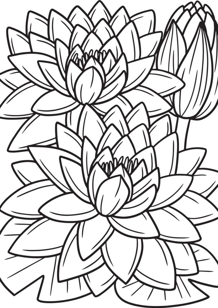 flower coloring