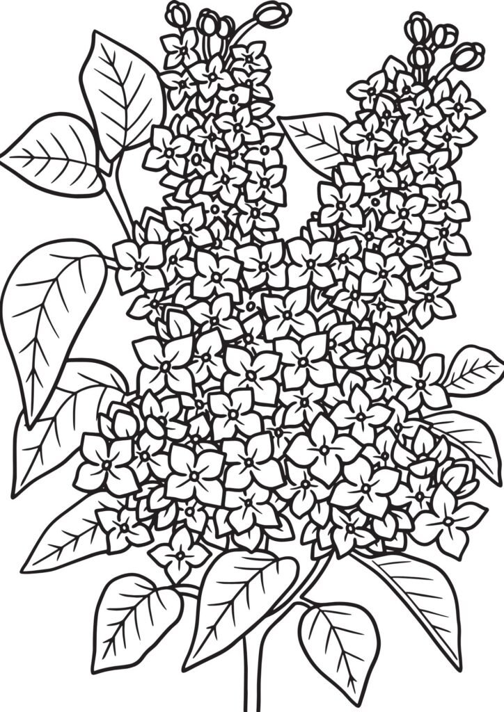 flower coloring page