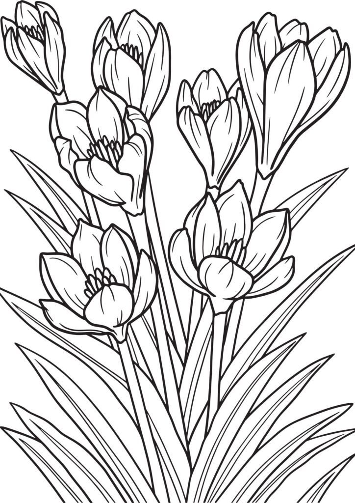 flower coloring sheets