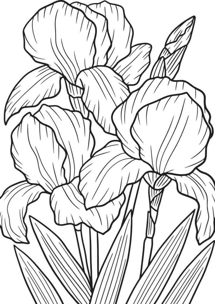 flower coloring sheets to print