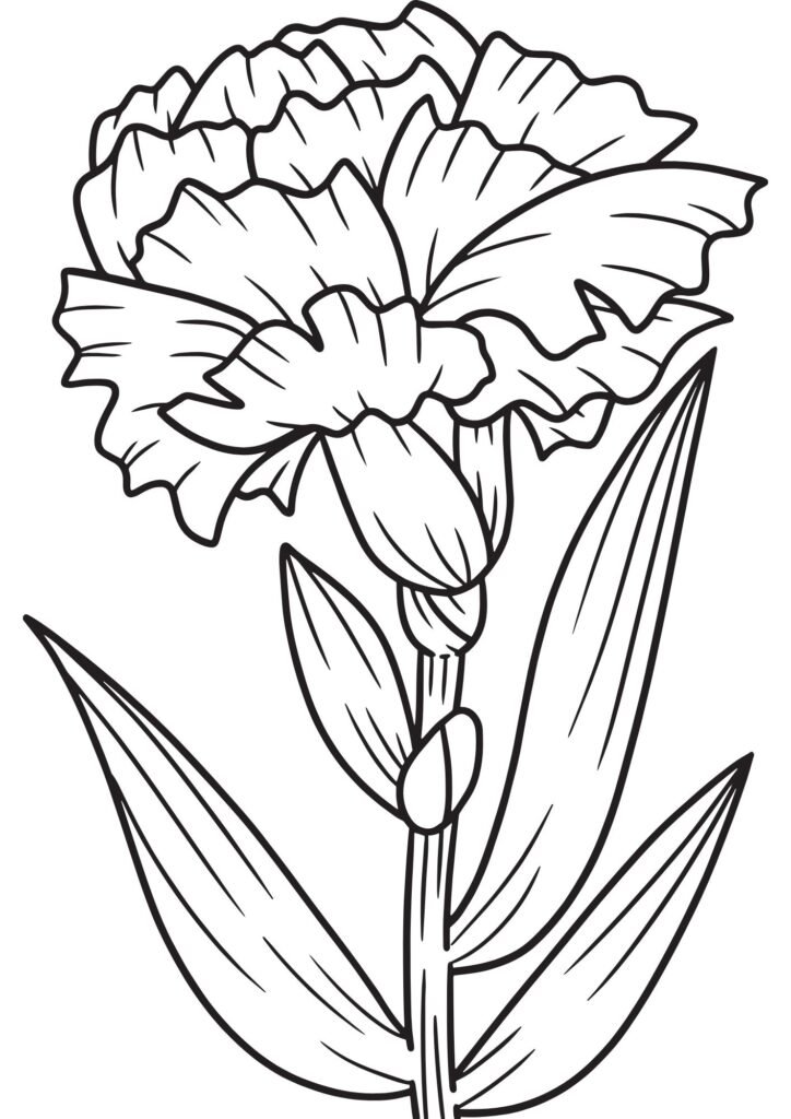 flower colouring pages free printable