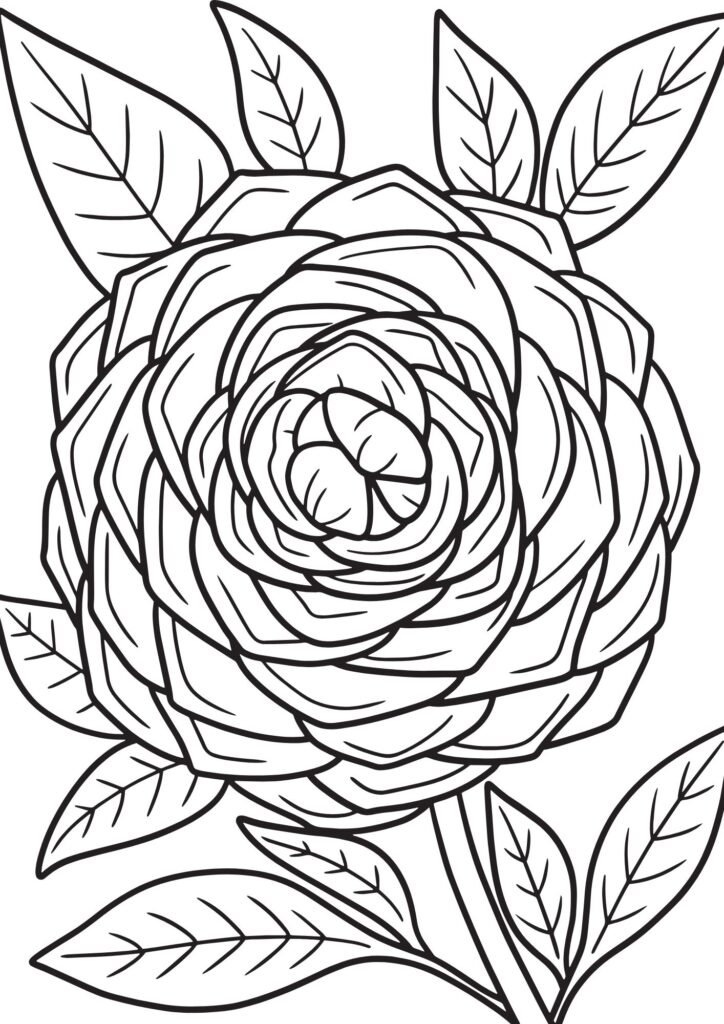 flower colouring pages printable