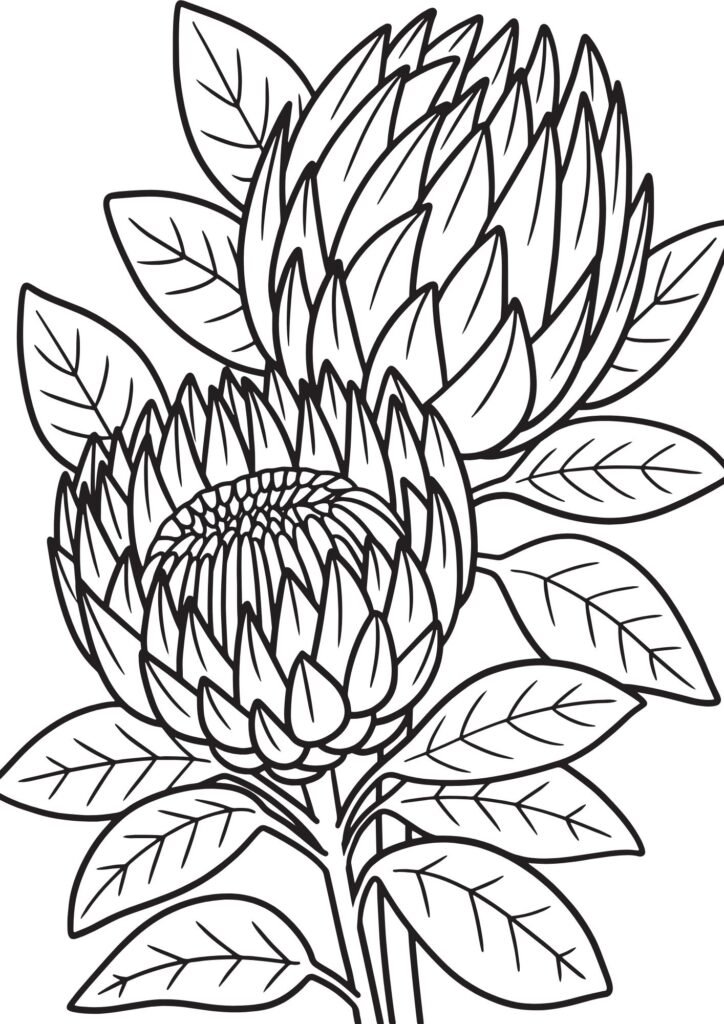 flower drawing ideas
