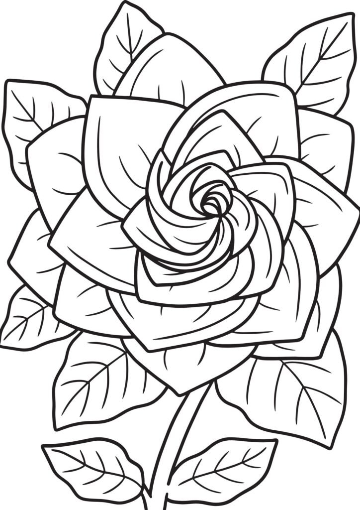 flower pictures for coloring printables