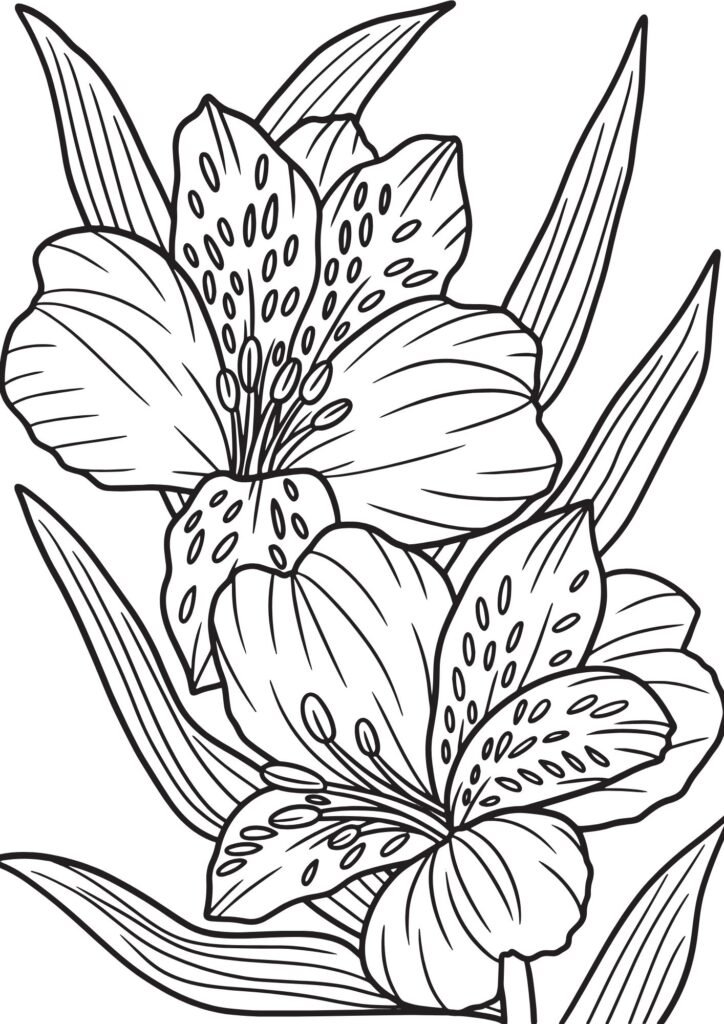 flowers coloring page