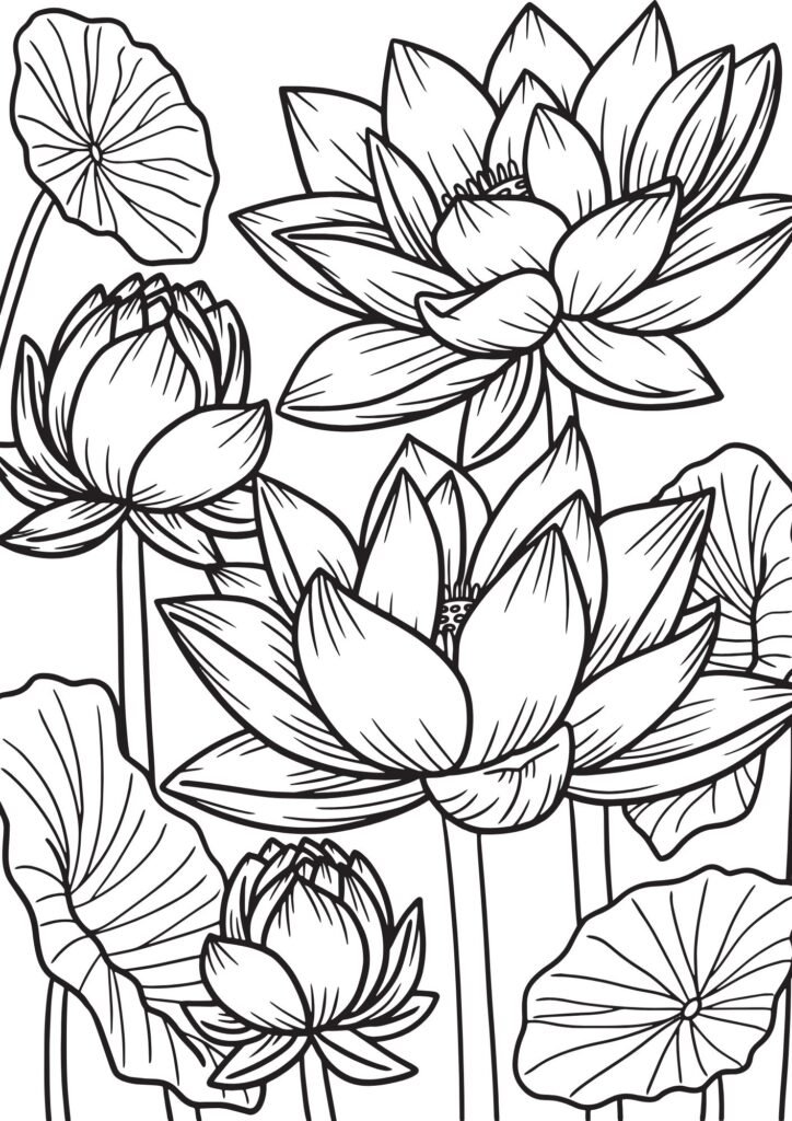 flowers drawings