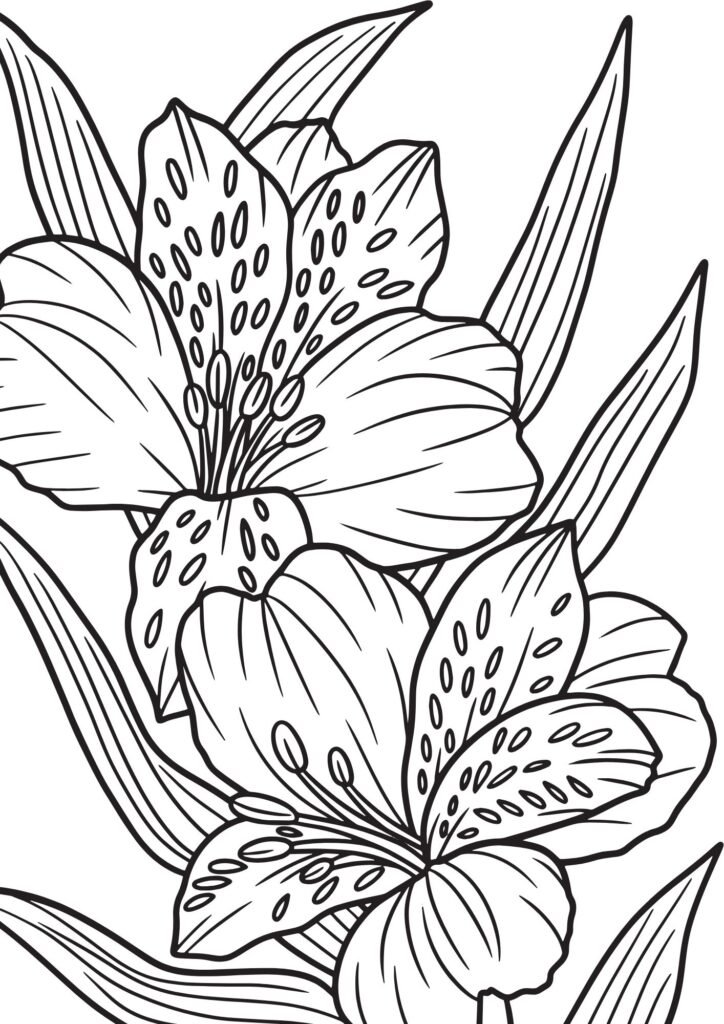 free printable flower colouring pages
