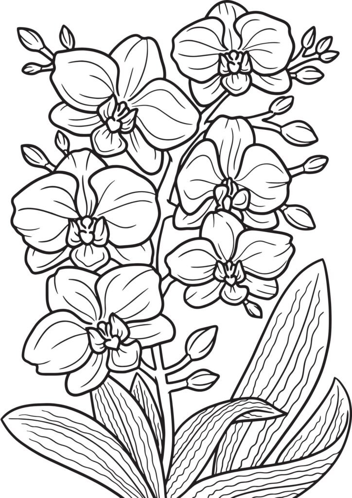 paper flowers