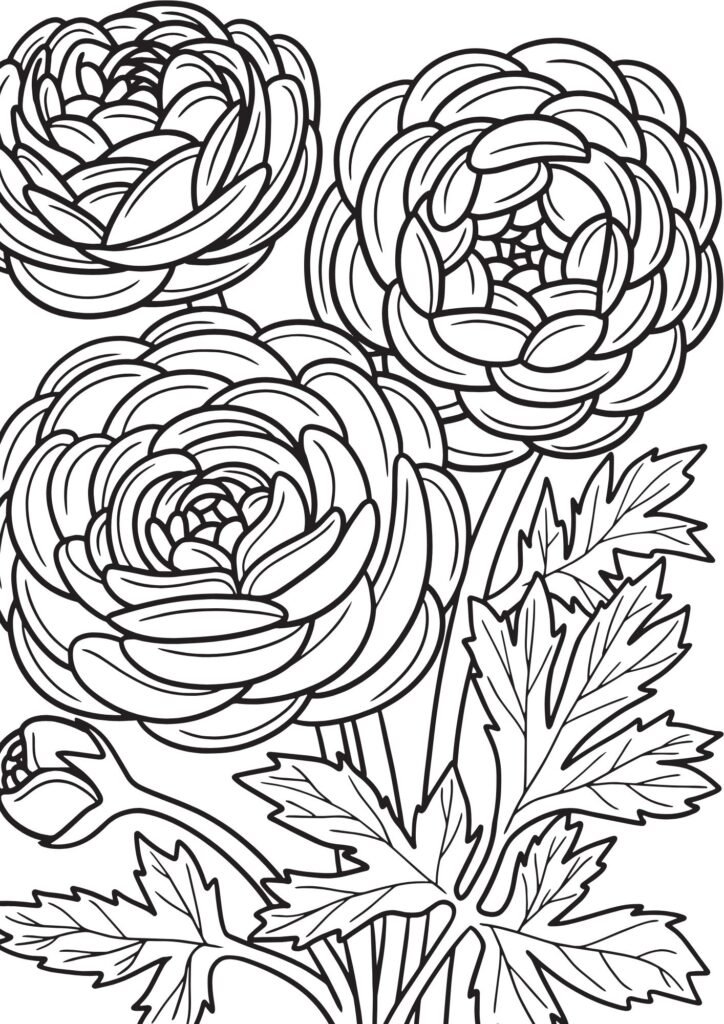 pictures of flowers to draw