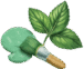 pintyminty.com