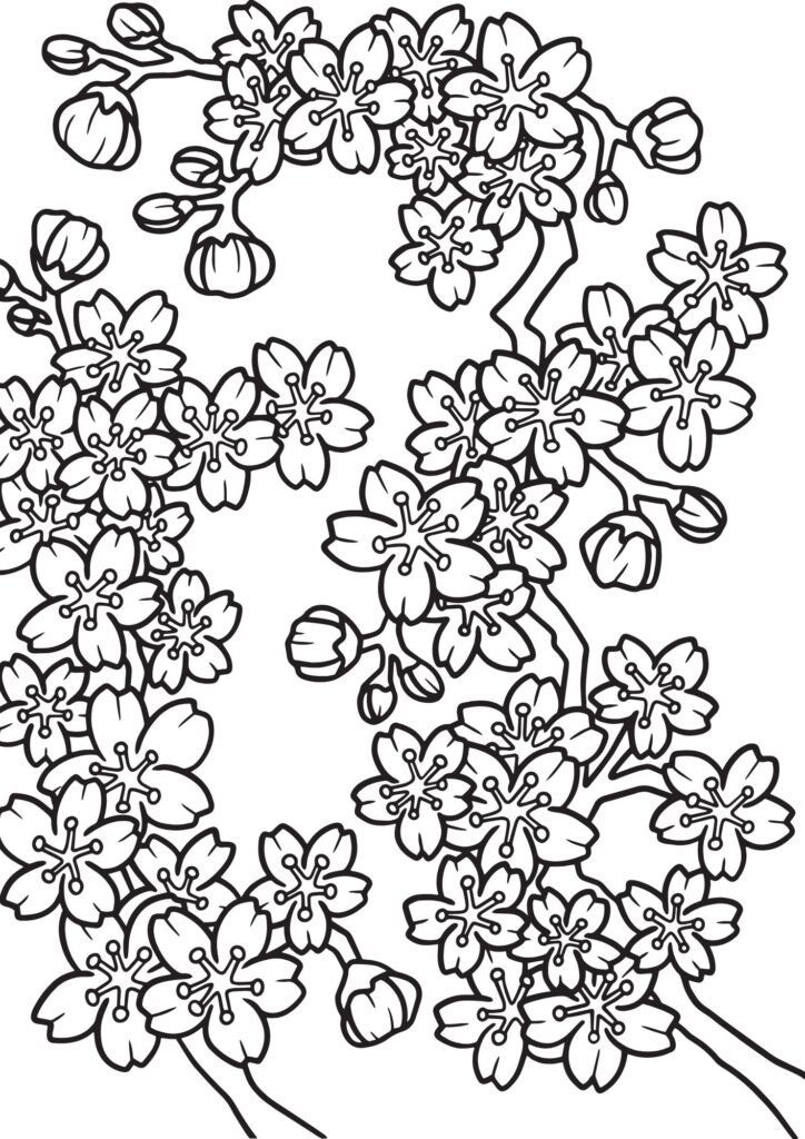 printable flower coloring pages