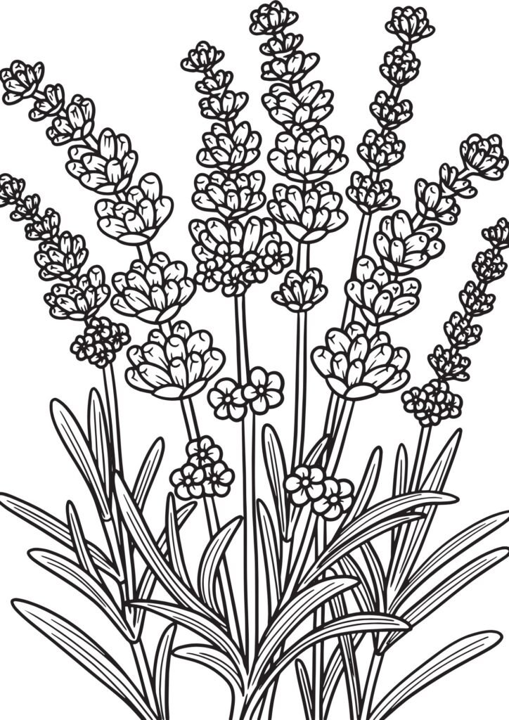 printable flowers to color