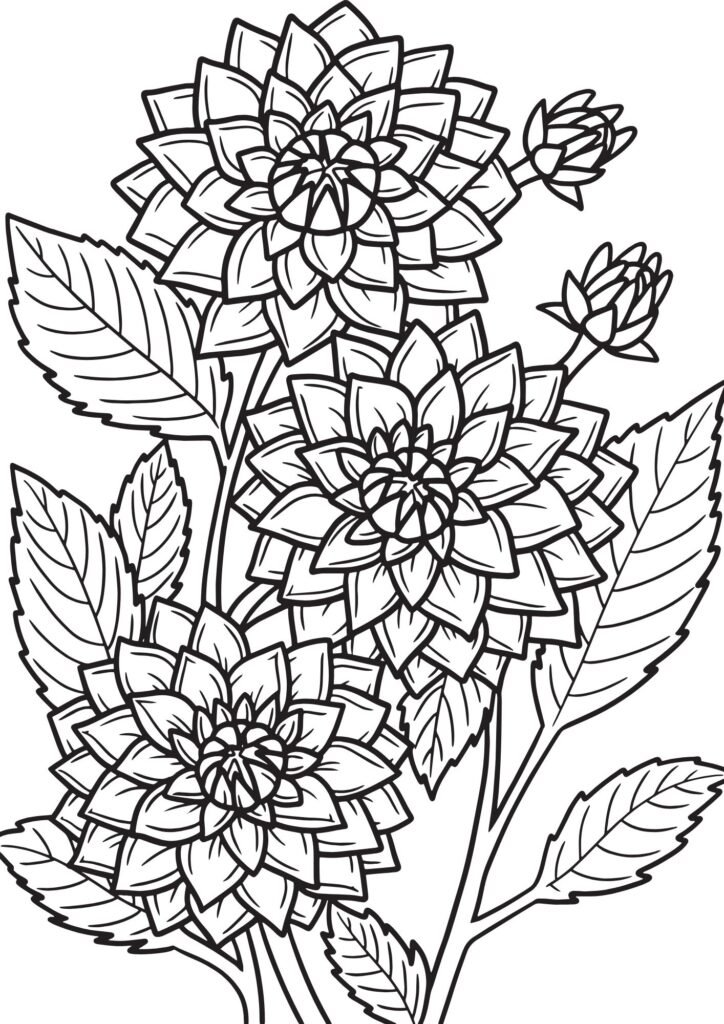 rose coloring pages