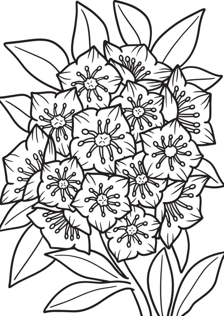 roses coloring page
