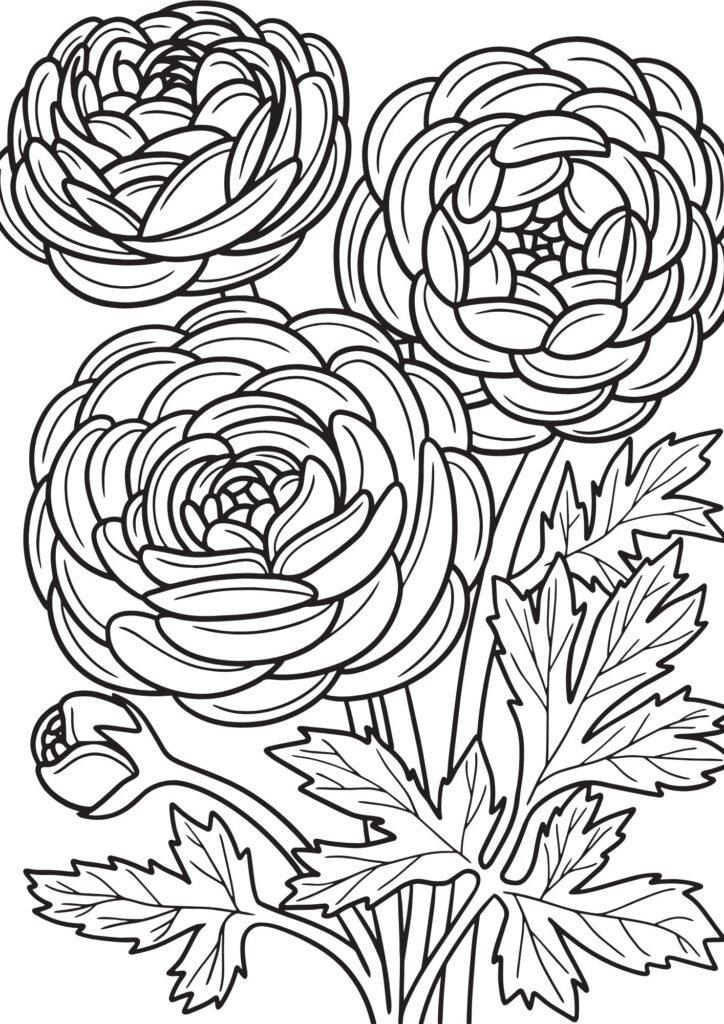 roses coloring pages