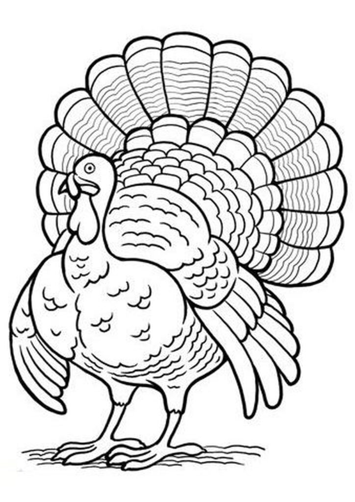 Turkey Coloring Pages For thanksgiving