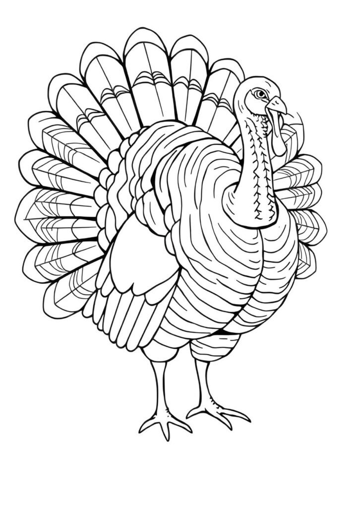 turkey coloring ideas for free
